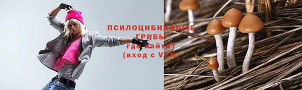 ПСИЛОЦИБИНОВЫЕ ГРИБЫ Абаза