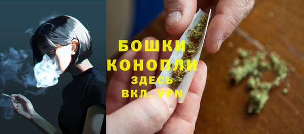 ПСИЛОЦИБИНОВЫЕ ГРИБЫ Абаза