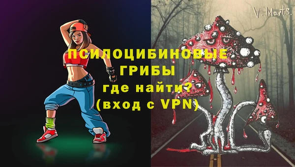 МДПВ Абинск