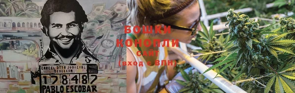 ПСИЛОЦИБИНОВЫЕ ГРИБЫ Абаза