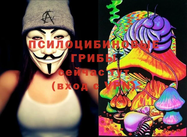 прущая мука Алзамай