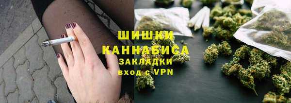 ПСИЛОЦИБИНОВЫЕ ГРИБЫ Абаза