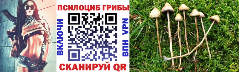 Псилоцибиновые грибы ЛСД Злынка