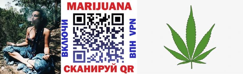 omg ссылка  как найти наркотики  Злынка  Бошки Шишки SATIVA & INDICA 